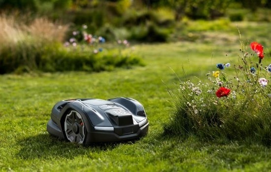 robotic lawn mower cutting in a meadow