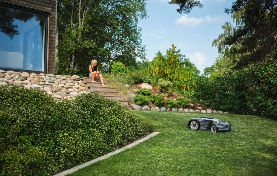 robotic lawn mower in a backyard